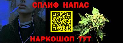 стаф Тара