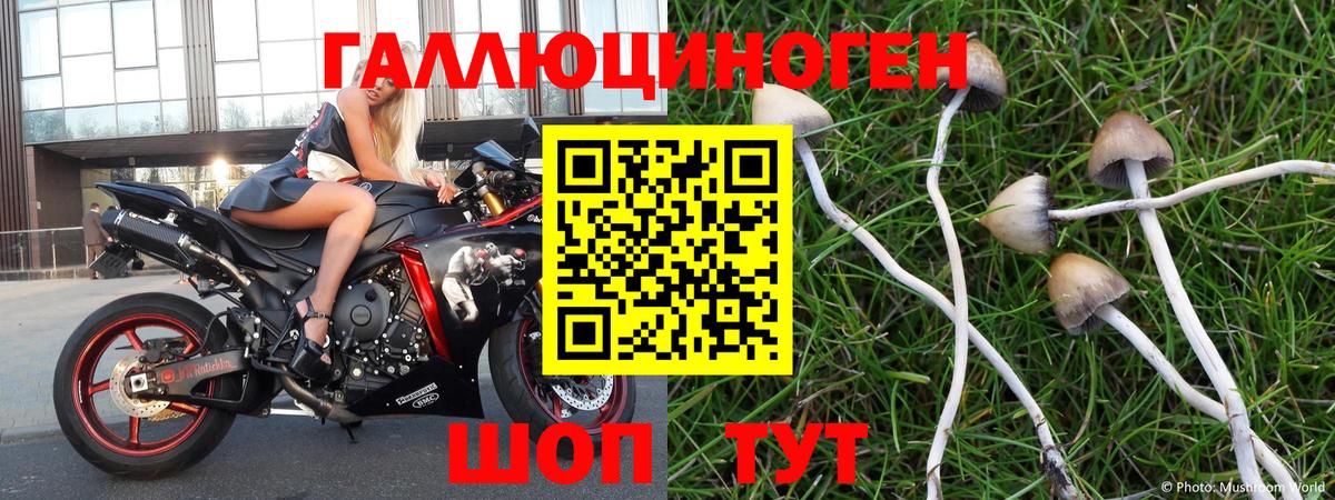 Алексеевка  Псилоцибиновые грибы Magic Shrooms  Вход с VPN  Галлюциногенные грибы мицелий 